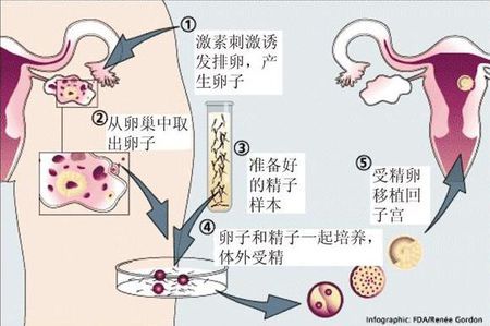 周副主任医师